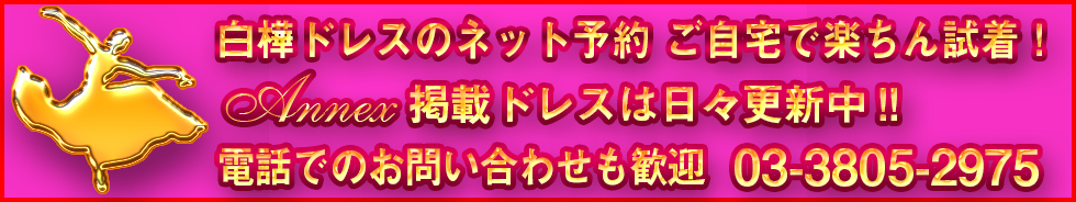 インターネットで社交ダンスドレスをレンタルしたい