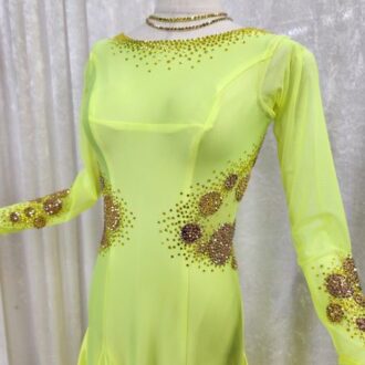 アメリカンスムース用のドレスを探す