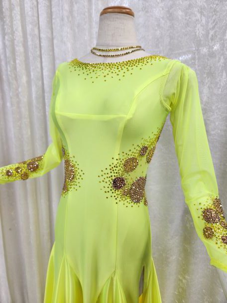 アメリカンスムース用のドレスを探す