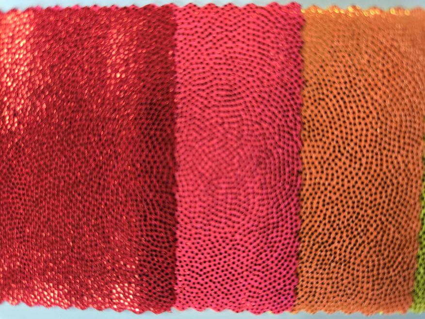 光沢のあるラテンドレス 白樺ドレス レンタルドレス ラテンドレス 競技用ラテンドレス Annex