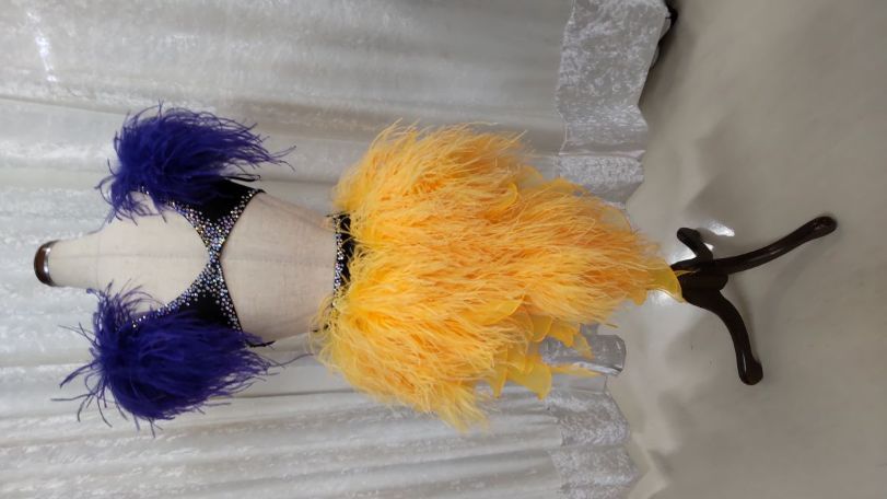 ダンスドレスリメイク ダンスドレスお直し 社交ダンスドレスクリーニング ダンスドレス露出隠し ダンスドレススカートカット ダンスドレス袖丈カット 社交ダンスドレス石取れリペア 社交ダンスドレス破れ